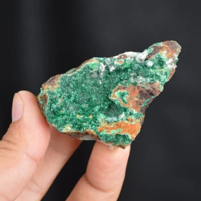Bornite With Atacamite Crystals
