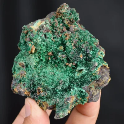 Bornite With Atacamite Crystals