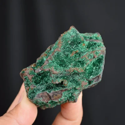 Bornite With Atacamite Crystals