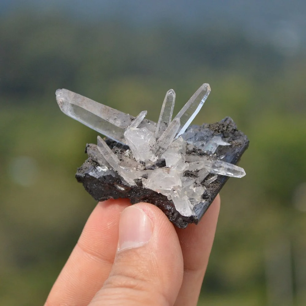 Ferberite With Quartz Crystals