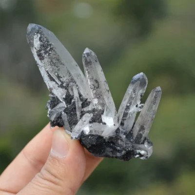 Ferberite With Quartz Crystals