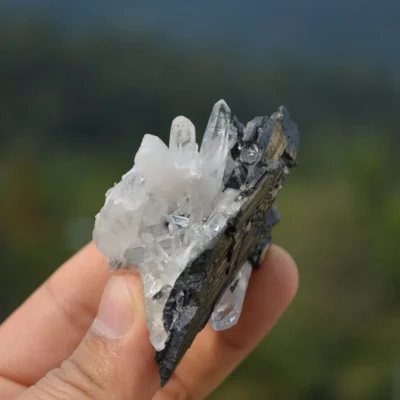 Ferberite With Quartz Crystals