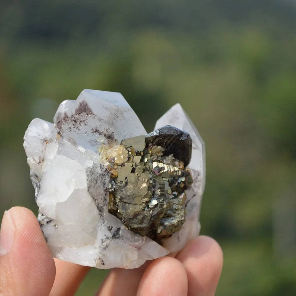 Ferberite With Quartz,Arsenopyrite,Mica Crystals - Image 3