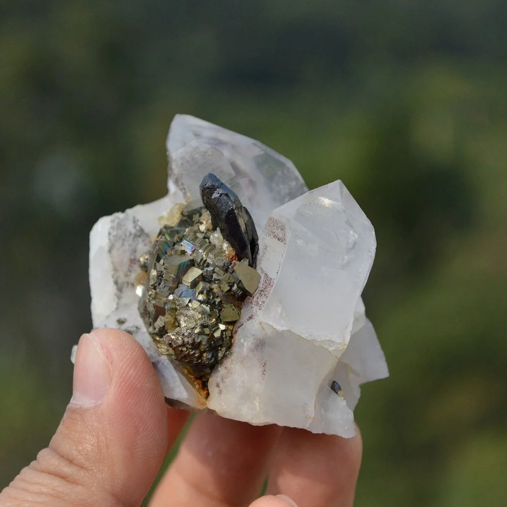 Ferberite With Quartz,Arsenopyrite,Mica Crystals - Image 4