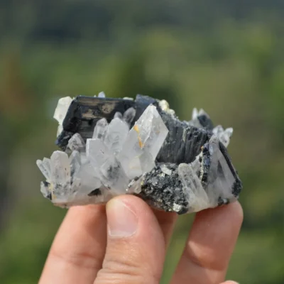 Ferberite With Quartz,,Arsenopyrite Crystals