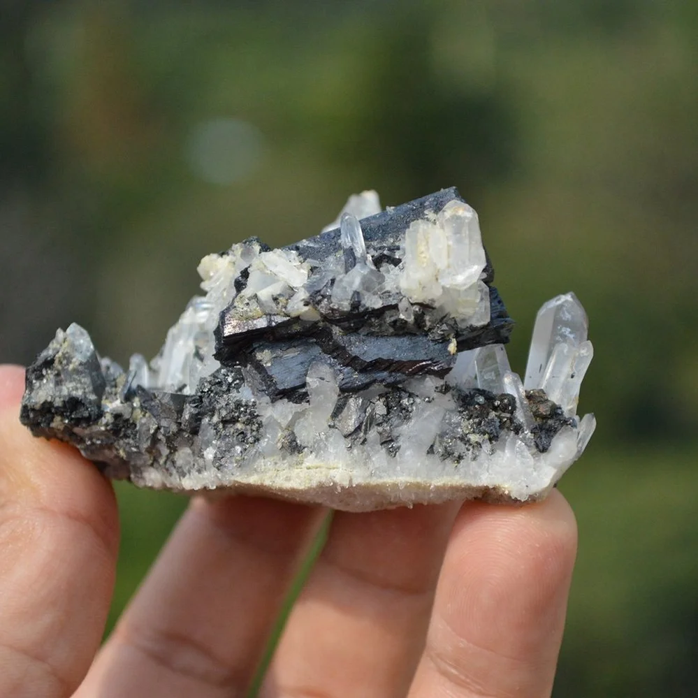 Ferberite With Quartz,,Arsenopyrite Crystals - Image 5
