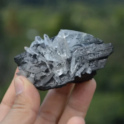Ferberite With Quartz Crystals