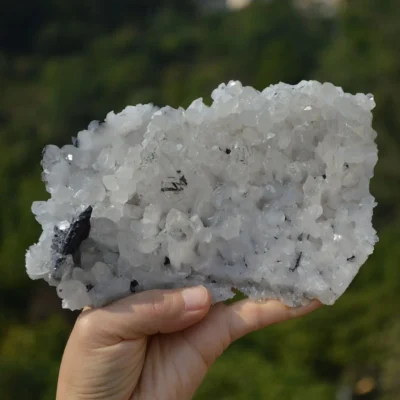 Floating Ferberite With Quartz And Bismuthinite Crystals