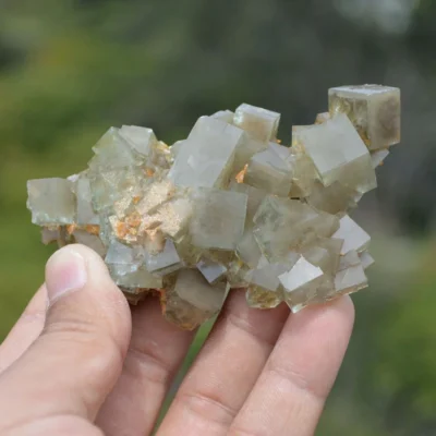 Rare Phantom Fluorite Inclusion