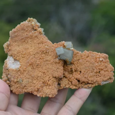 Rare Phantom Fluorite Inclusion