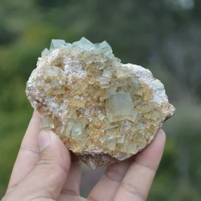 Rare Phantom Fluorite Inclusion