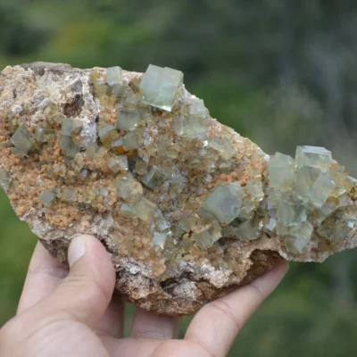 Rare Phantom Fluorite Inclusion
