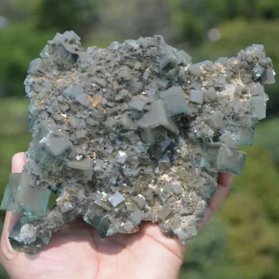 Rare Phantom Fluorite Inclusion