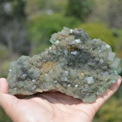 Rare Phantom Fluorite Inclusion