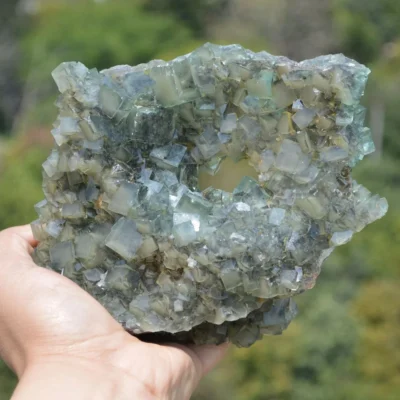 Mineral Collection - Phantom Fluorite Inclusion