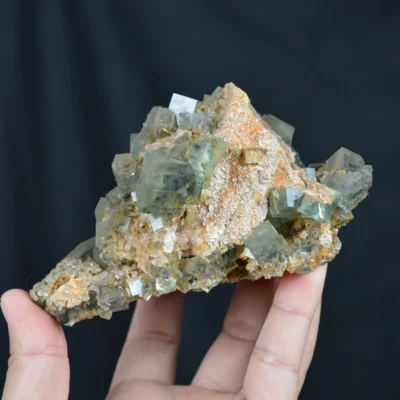 Rare Phantom Cube Fluorite Inclusion