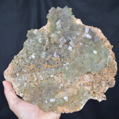 Rare Phantom Cube Fluorite Inclusion