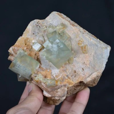 Rare Phantom Cube Fluorite Inclusion