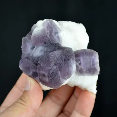 Deep Purple Cube Phantom Fluorite On Quartz Crystals