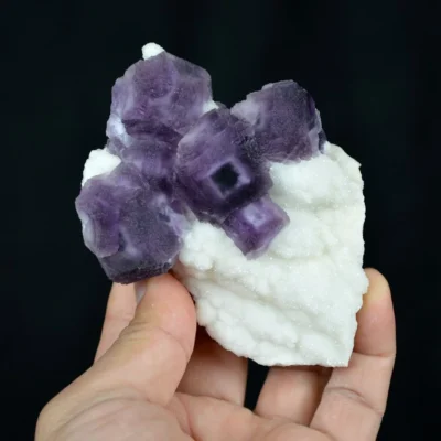 Deep Purple Cube Phantom Fluorite On Quartz Crystals