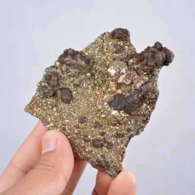 Pyrite Embed In Botryoidal Goethite And Calcite Cluster Crystals