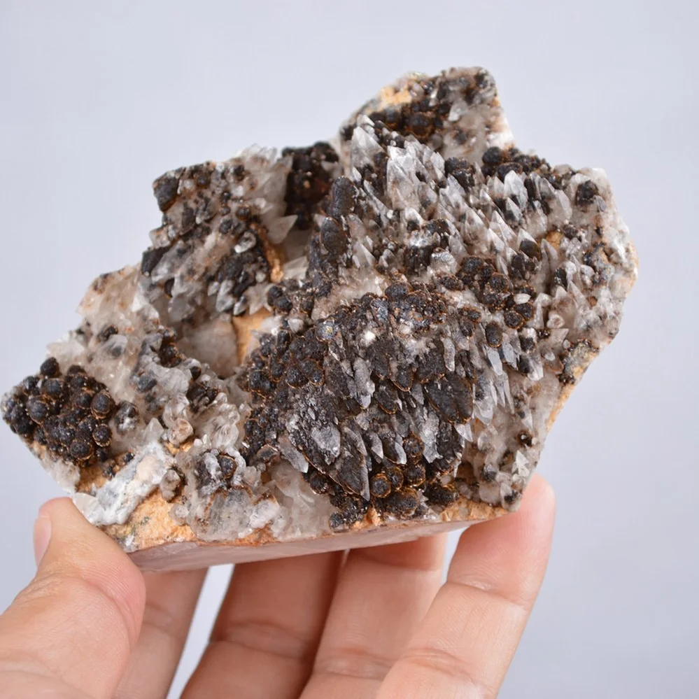 Pyrite Embed In Botryoidal Goethite And Calcite Cluster Crystals - Image 4