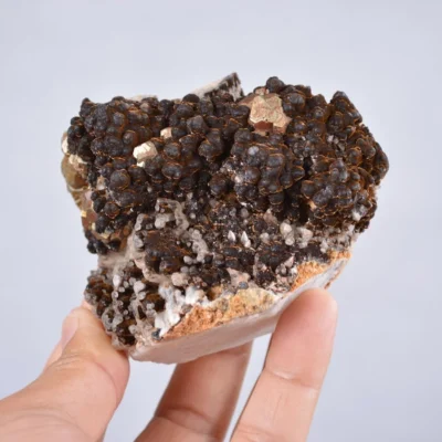 Pyrite Embed In Botryoidal Goethite And Calcite Cluster Crystals