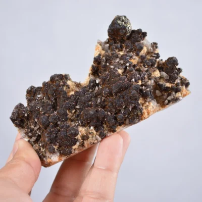 Pyrite Embed In Botryoidal Goethite And Calcite Cluster Crystals