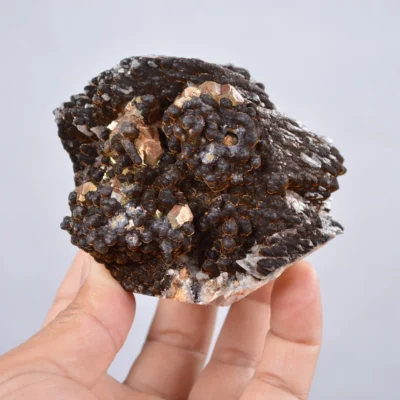 Pyrite Embed In Botryoidal Goethite And Calcite Cluster Crystals