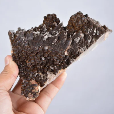 Pyrite Embed In Botryoidal Goethite And Calcite Cluster Crystals