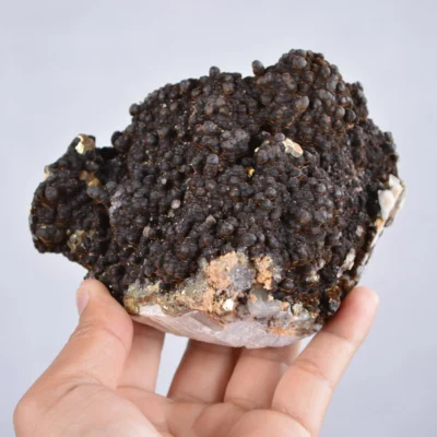 Pyrite Embed In Botryoidal Goethite And Calcite Cluster Crystals