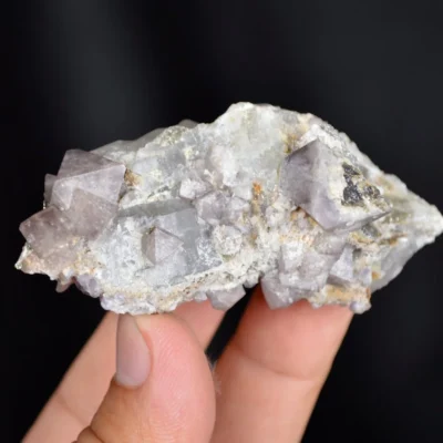 Scheelite With Quartz And Pyrite Crystals