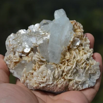 Tabular Crystal Beryl On The Mica Matrix