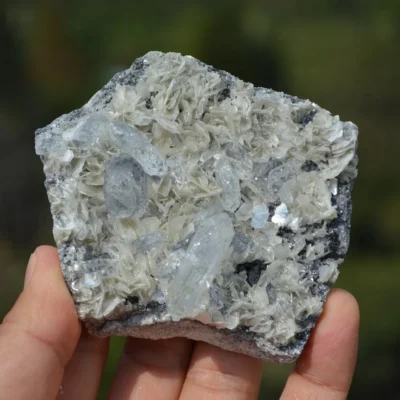 Tabular Crystal Beryl On The Mica Matrix