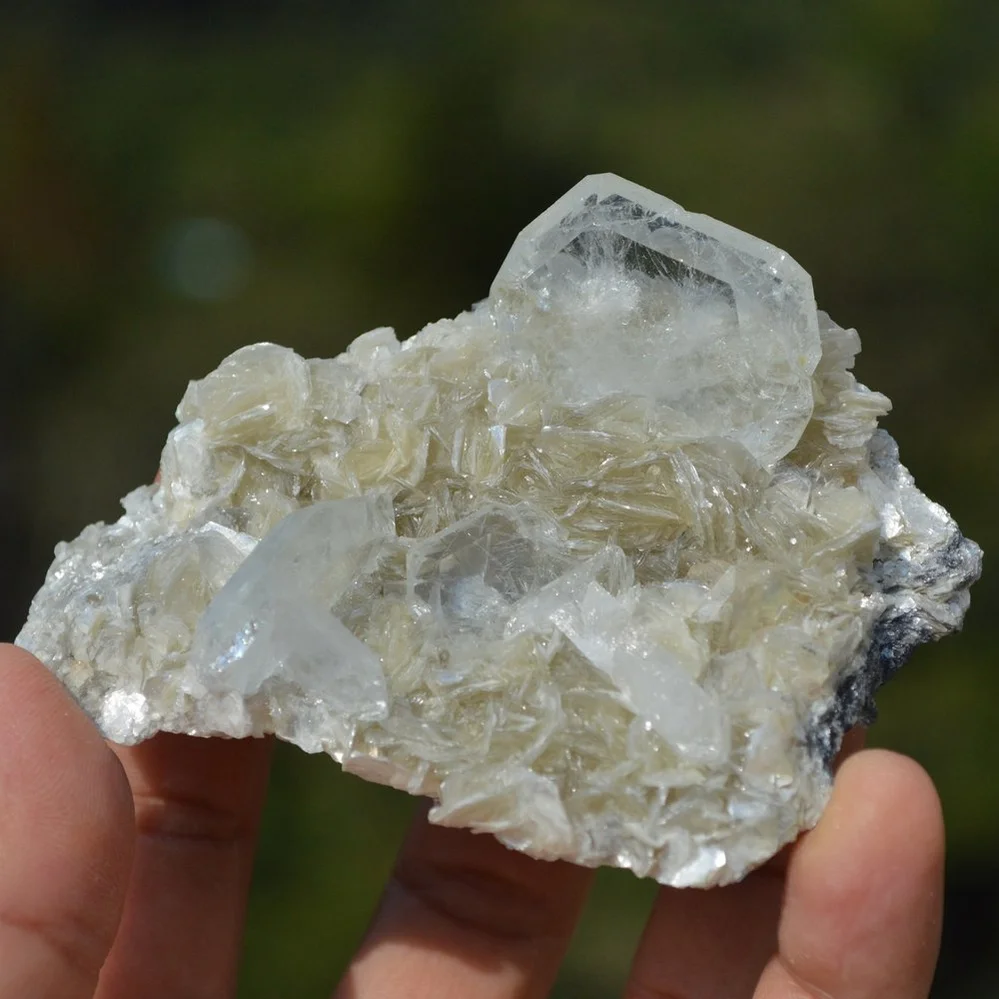 Tabular Crystal Beryl On The Mica Matrix