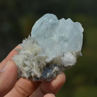 Tabular Crystal Beryl On The Mica Matrix