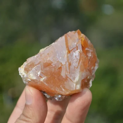 Scheelite With Mica Crystal