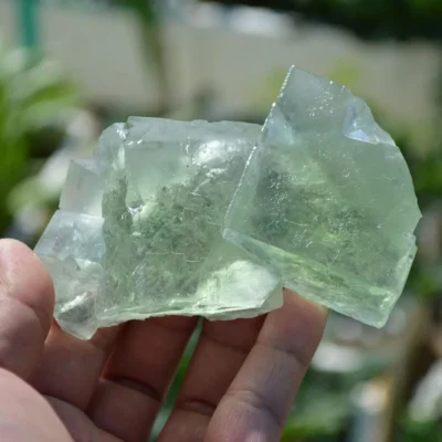 Glassy Cubes Of Fluorite, Remarkable Transparent Crystals