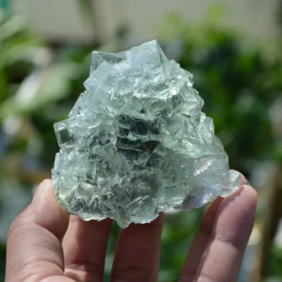 Glassy Cubes Of Fluorite, Remarkable Transparent Crystals