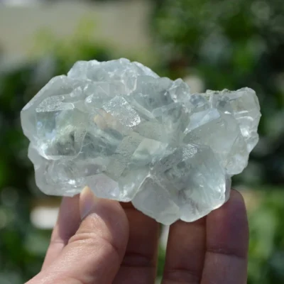 Glassy Cubes Of Fluorite, Remarkable Transparent Crystals