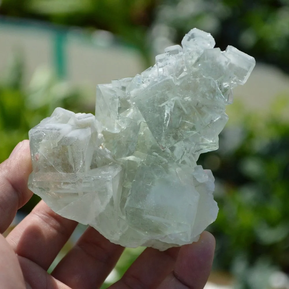 Glassy Cubes Of Fluorite, Remarkable Transparent Crystals