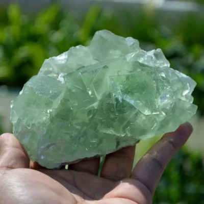 Glassy Cubes Of Fluorite, Remarkable Transparent Crystals