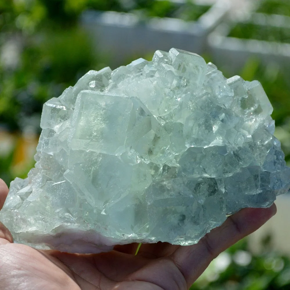 Glassy Cubes Of Fluorite, Remarkable Transparent Crystals