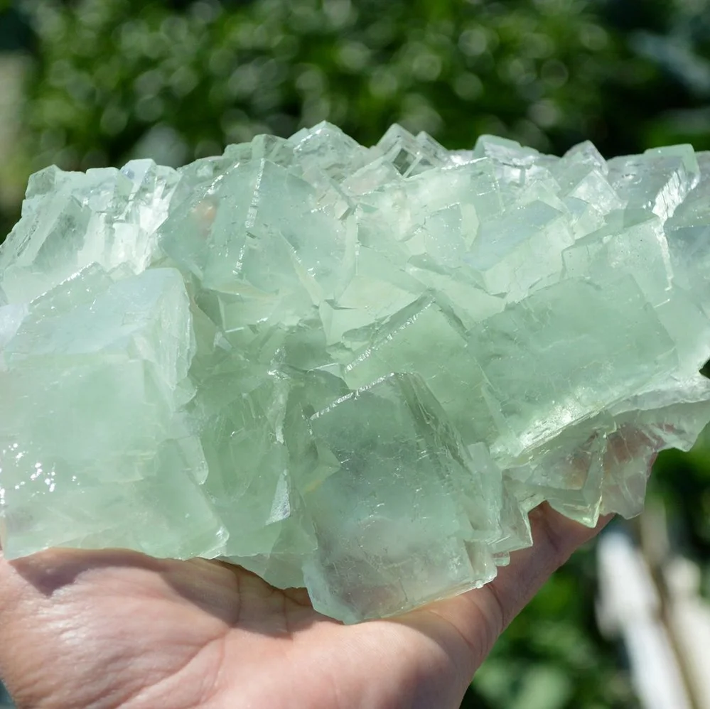 Glassy Cubes Of Fluorite, Remarkable Transparent Crystals