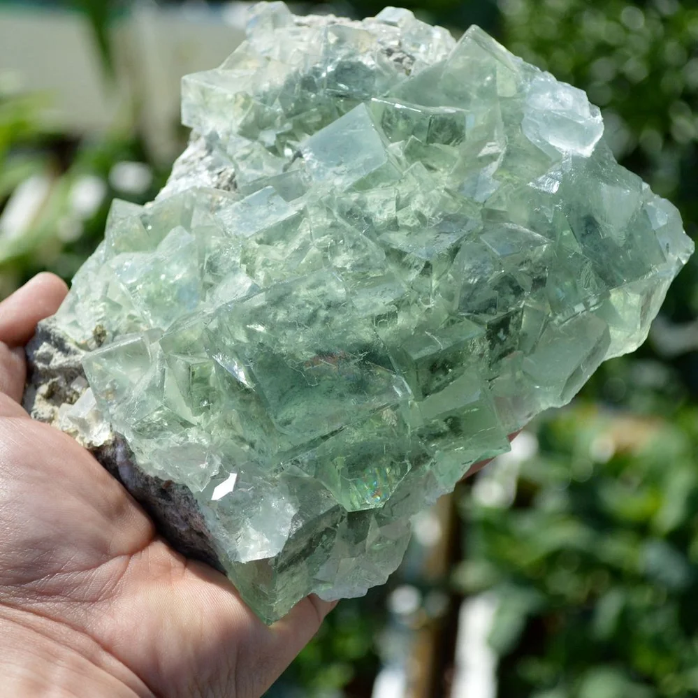 Glassy Cubes Of Fluorite, Remarkable Transparent Crystals