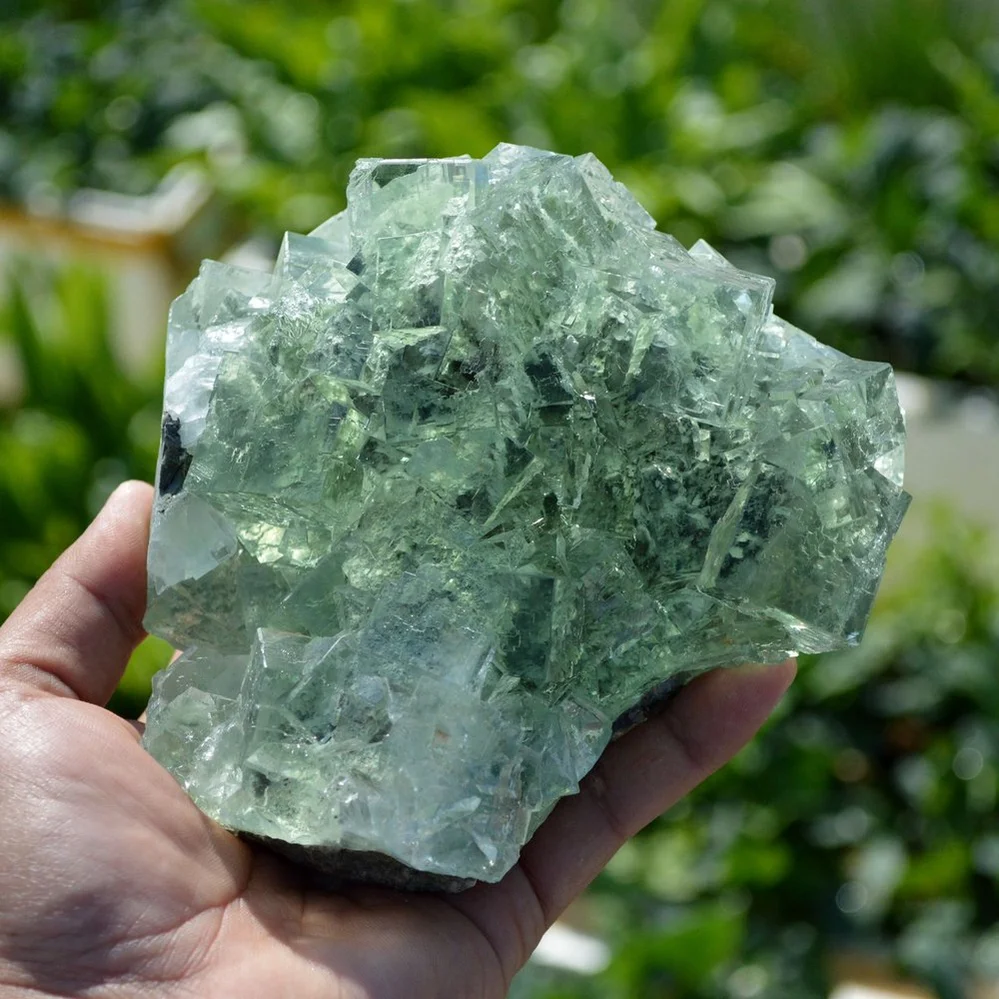 Glassy Cubes Of Fluorite, Remarkable Transparent Crystals