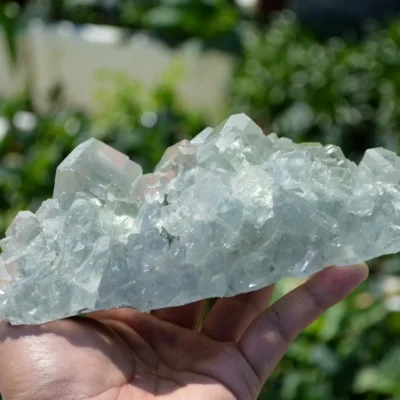 Glassy Cubes Of Fluorite, Remarkable Transparent Crystals