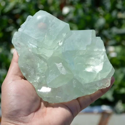 Glassy Cubes Of Fluorite, Remarkable Transparent Crystals