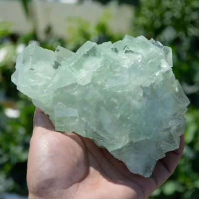 Glassy Cubes Of Fluorite, Remarkable Transparent Crystals