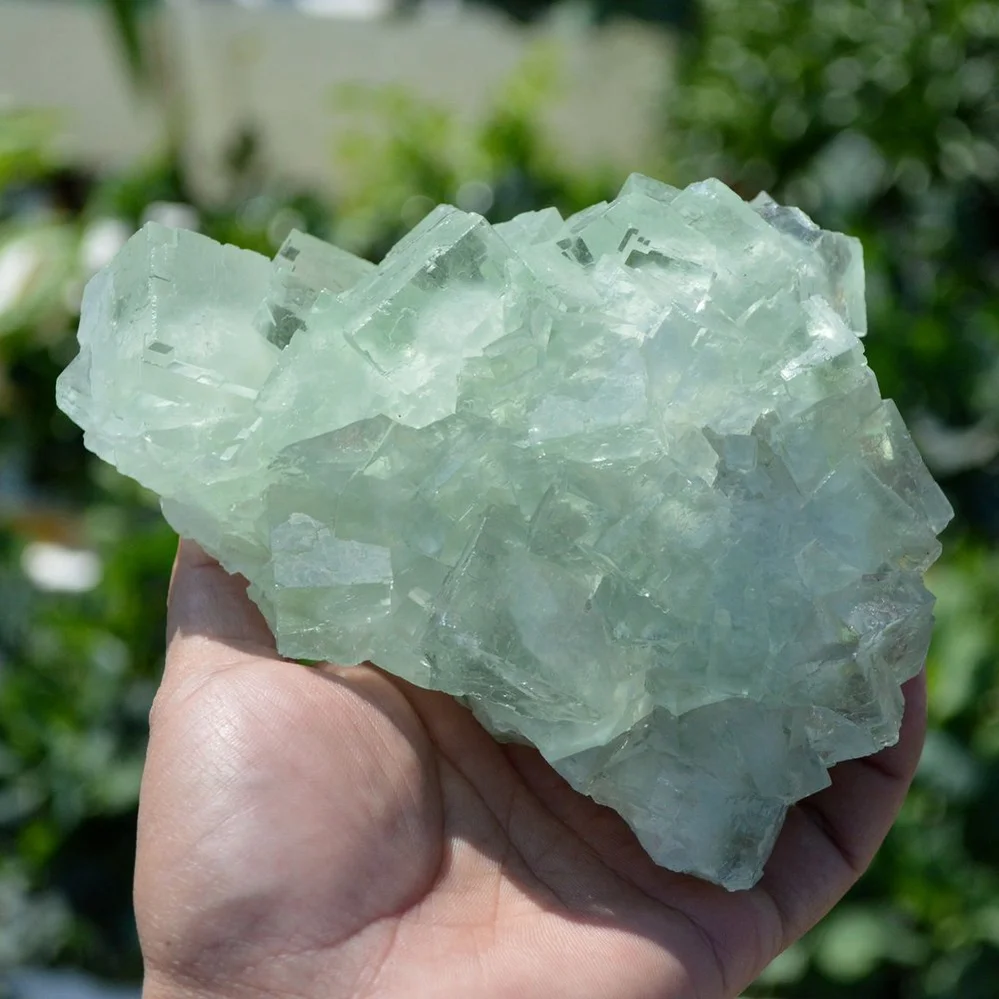Glassy Cubes Of Fluorite, Remarkable Transparent Crystals